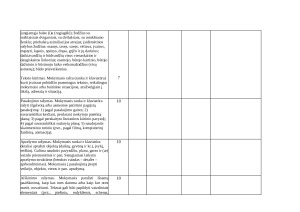 LIETUVIŲ KALBOS IR LITERATŪROS ILGALAIKIS PLANAS 4 KLASEI 2025m. Paveikslėlis 4