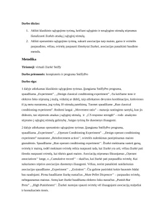 Klasikinio ir operantinio sąlygojimo eksperimentas. Paveikslėlis 2