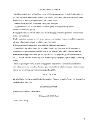 Klasikinis sąlygojimas. Paveikslėlis 2