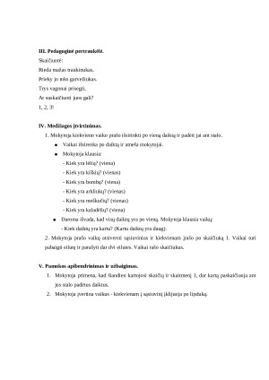 Skaičius ir skaitmuo 1. Pamokos planas. (Spec. klasėje). Paveikslėlis 2