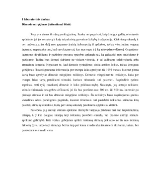 Kognityvinės psichologijos laboratorinių darbų ataskaita. Paveikslėlis 2