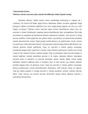 Kognityvinės psichologijos laboratorinių darbų ataskaita. Paveikslėlis 8