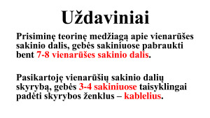 Vienarūšių sakinio dalių skyryba. Kartojimas. Mokomoji medž.. Paveikslėlis 6