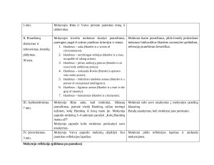 V. Šekspyro Hamleto paveikslas. Integruotos lietuvių ir anglų kalbų pamokos 11 klasėje planas. Paveikslėlis 2