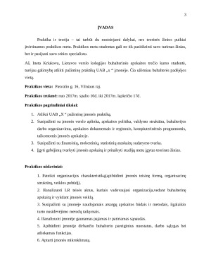 APSKAITOS PRAKTIKOS ATASKAITA „x“ ĮMONĖJE. Paveikslėlis 3