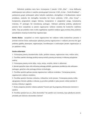 Pažintinės praktikos ataskaita. Paveikslėlis 4