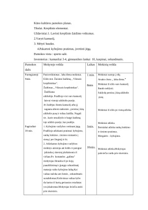 Kūno kultūros pamokos planas. Krepšinio elementai