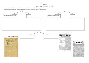 Žemaitės „Marti”. Užduotis 6 grupė