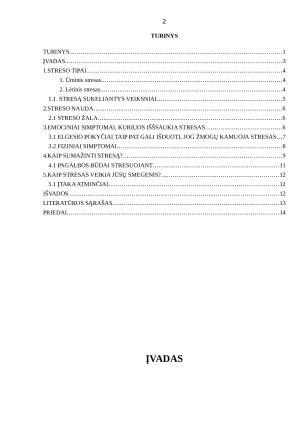 STRESAS, JĮ SUKELIANČIOS PRIEŽASTYS. Paveikslėlis 2