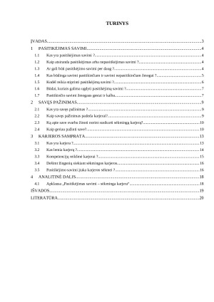 Pasitikėjimas savimi - sėkminga karjera. Paveikslėlis 2