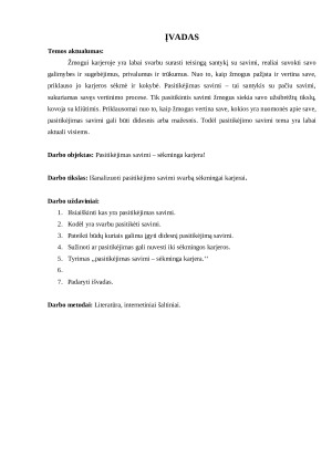 Pasitikėjimas savimi - sėkminga karjera. Paveikslėlis 3