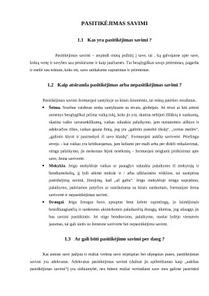 Pasitikėjimas savimi - sėkminga karjera. Paveikslėlis 4