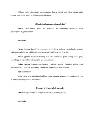 Vaiko ugdymas nuo gimimo iki 3 metų. Individuali užduotis. . Paveikslėlis 4