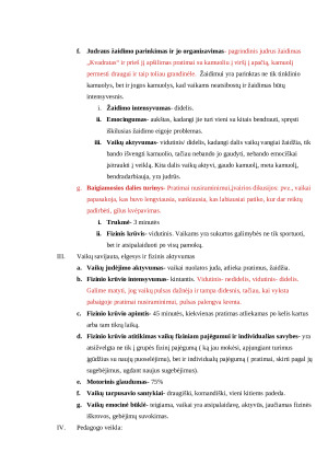 FIZINĖS VEIKLOS METODINĖ ANALIZĖ. Paveikslėlis 4