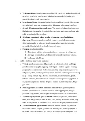 FIZINĖS VEIKLOS METODINĖ ANALIZĖ. Paveikslėlis 5