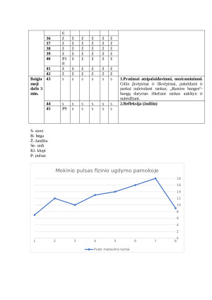 FIZINĖS VEIKLOS METODINĖ ANALIZĖ. Paveikslėlis 8