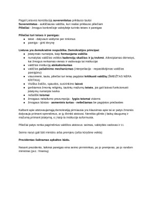 Politikos pagrindas. Paveikslėlis 6