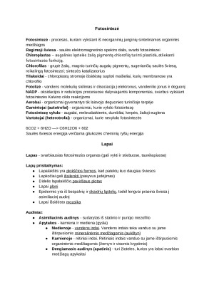 Ląstelinis kvėpavimas. Konspektas