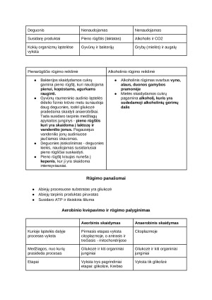 Ląstelinis kvėpavimas. Konspektas. Paveikslėlis 7