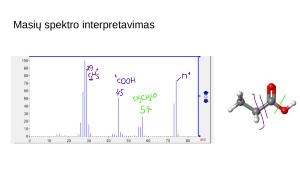 Medžiagų tyrimo metodai masių spektrometrija MS. Paveikslėlis 8