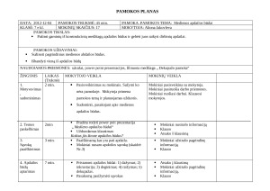 Medienos apdailos būdai. Pamokos planas