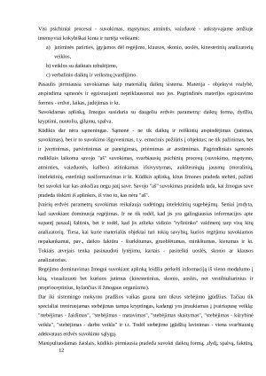 Suvokimas. Paveikslėlis 10