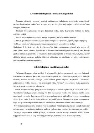 Suvokimas. Paveikslėlis 2