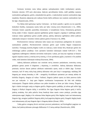 VAIKŲ BĖGIMO YAPTUMAI SKIRTINGOMIS SĄLYGOMIS. Paveikslėlis 8