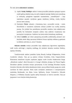 Šviesos medžioklė apie povaizdžio reiškinį tapyboje. Paveikslėlis 8