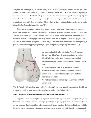 Šlaunikaulio distalinės dalies lūžių nesugijimas klinikinis atvejis ir literatūros apžvalga. Paveikslėlis 8