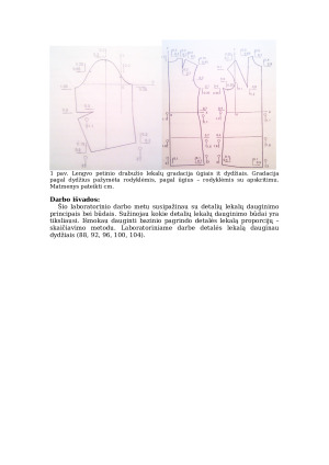 Lekalų sudarymas ir lekalų dauginimas. Paveikslėlis 3