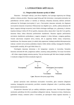 Pooperacinio skausmo ir streso mažinimas šunims taikant inhaliacinę aromaterapiją X veterinarijos klinikoje. Paveikslėlis 8