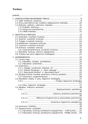 Nuostolio funkcijų taikymo vaizdų panašume tyrimas. Paveikslėlis 5