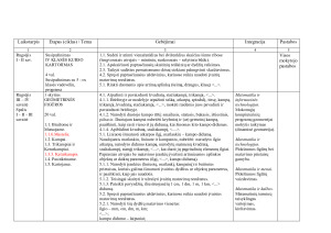 MATEMATIKOS MOKYMO 5 KLASĖJE  ILGALAIKIS PLANAS. Paveikslėlis 3