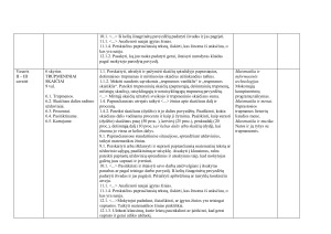 MATEMATIKOS MOKYMO 5 KLASĖJE  ILGALAIKIS PLANAS. Paveikslėlis 8
