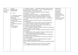 MATEMATIKOS MOKYMO 5 KLASĖJE  ILGALAIKIS PLANAS. Paveikslėlis 9