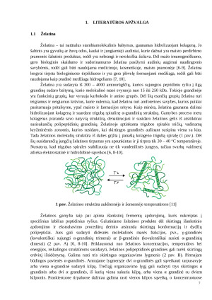 ŠVIESAI JAUTRIŲ HIDROGELIŲ SINTEZĖ IŠ ŽELATINOS, TYRIMAS IR TAIKYMAS BIOLOGINĖSE SISTEMOSE. Paveikslėlis 6