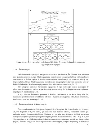 ŠVIESAI JAUTRIŲ HIDROGELIŲ SINTEZĖ IŠ ŽELATINOS, TYRIMAS IR TAIKYMAS BIOLOGINĖSE SISTEMOSE. Paveikslėlis 8