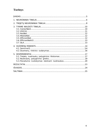 Ortografinių nuotraukų detalus lyginimas. Paveikslėlis 4