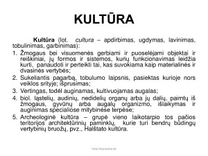 Kalbų ir kultūrų įvairovė. Kalbos kitimas (9 kl.) mokomoji medž. Paveikslėlis 3