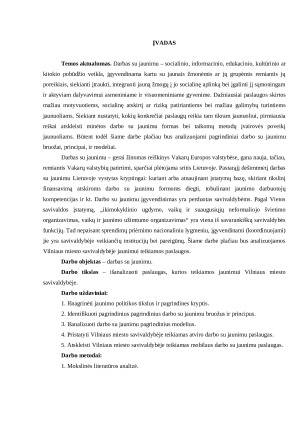 Darbo su jaunimu paslaugos teikiamos Vilniaus m. savivaldybeje. Paveikslėlis 2
