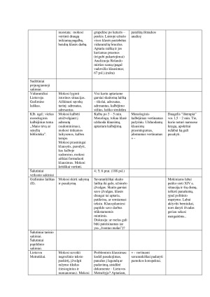 Lietuvių kalbos detalusis planas II gimnazijos klasei. Paveikslėlis 4