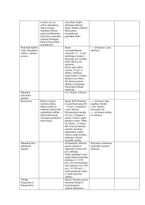 Lietuvių kalbos detalusis planas II gimnazijos klasei. Paveikslėlis 5