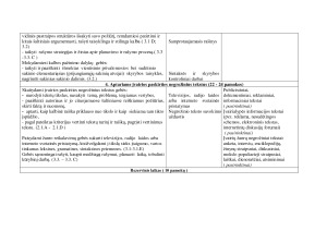 Lietuvių kalbos Ilgalaikis planas 8 klasei. Paveikslėlis 4