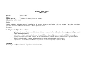 Lietuvių kalbos Ilgalaikis planas 6 klasei. Paveikslėlis 1