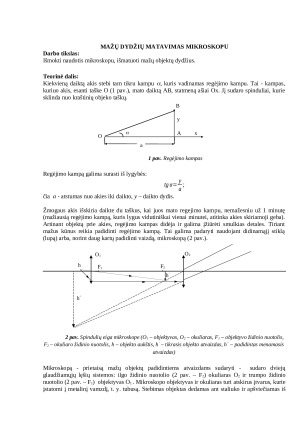 Mažų dydžių matavimas mikroskopu. Paveikslėlis 1