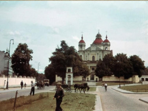 Pamoka apie Baroką ir M. K. Sarbievijų. Mokomoji medž. Paveikslėlis 5