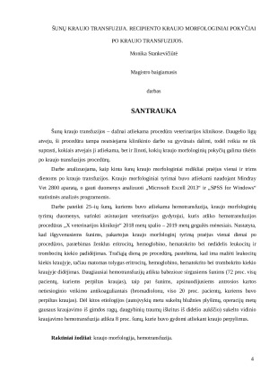 Šunų kraujo transfuzija. Recipiento kraujo morfologiniai pokyčiai po kraujo transfuzijos. Paveikslėlis 4