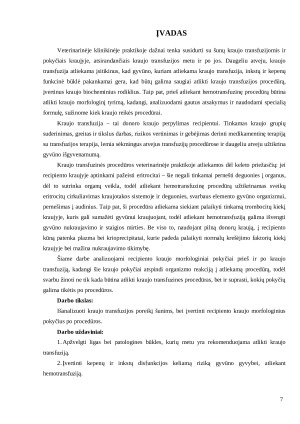 Šunų kraujo transfuzija. Recipiento kraujo morfologiniai pokyčiai po kraujo transfuzijos. Paveikslėlis 7