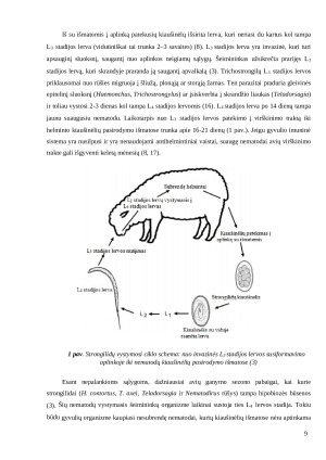 Avių virškinamojo trakto nematodų rezistentiškumas antihelmintinėms medžiagoms Marijampolės rajone. Paveikslėlis 9
